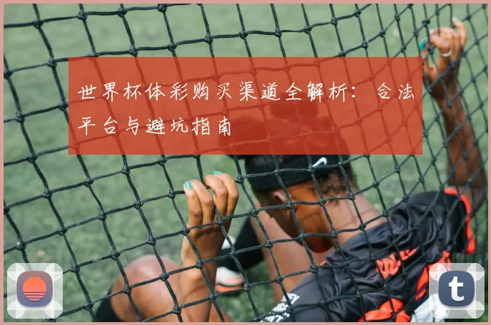 世界杯体彩购买渠道全解析：合法平台与避坑指南