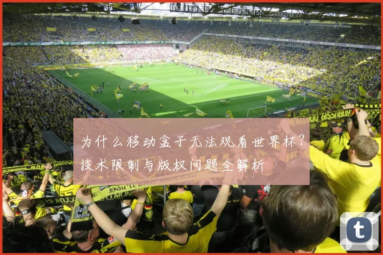 为什么移动盒子无法观看世界杯?技术限制与版权问题全解析