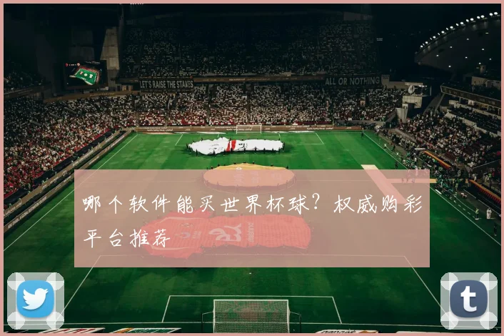 哪个软件能买世界杯球？权威购彩平台推荐