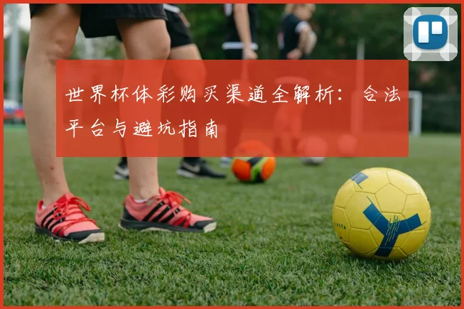 世界杯体彩购买渠道全解析：合法平台与避坑指南