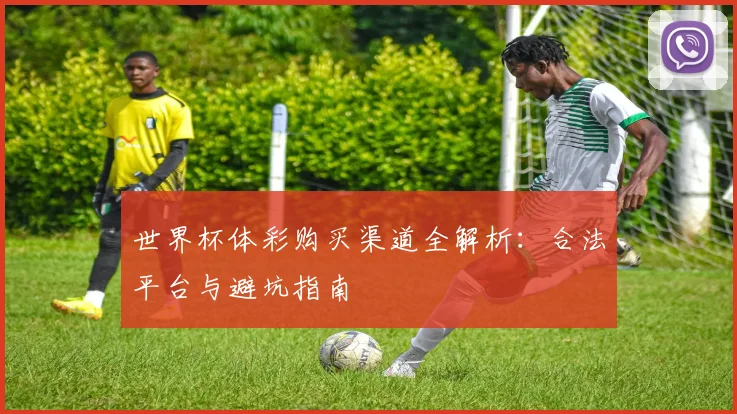 世界杯体彩购买渠道全解析:合法平台与避坑指南