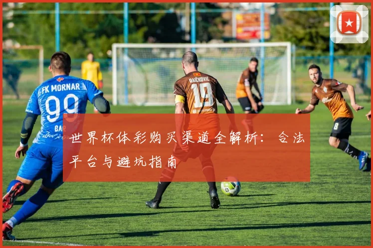 世界杯体彩购买渠道全解析：合法平台与避坑指南
