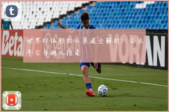 世界杯体彩购买渠道全解析：合法平台与避坑指南