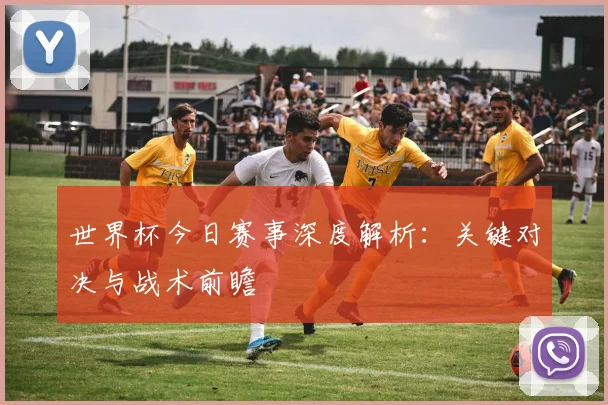 世界杯今日赛事深度解析：关键对决与战术前瞻