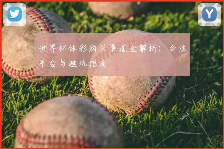 世界杯体彩购买渠道全解析:合法平台与避坑指南