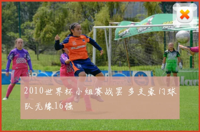 2010世界杯小组赛战罢 多支豪门球队无缘16强