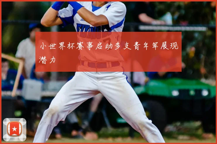 小世界杯赛事启动多支青年军展现潜力