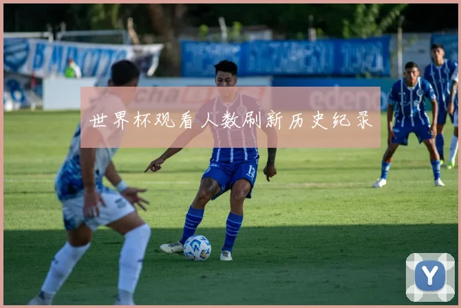 世界杯观看人数刷新历史纪录