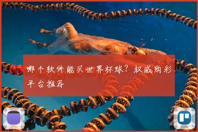 哪个软件能买世界杯球?权威购彩平台推荐