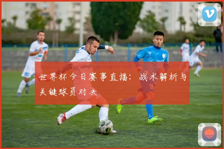 世界杯今日赛事直播：战术解析与关键球员对决
