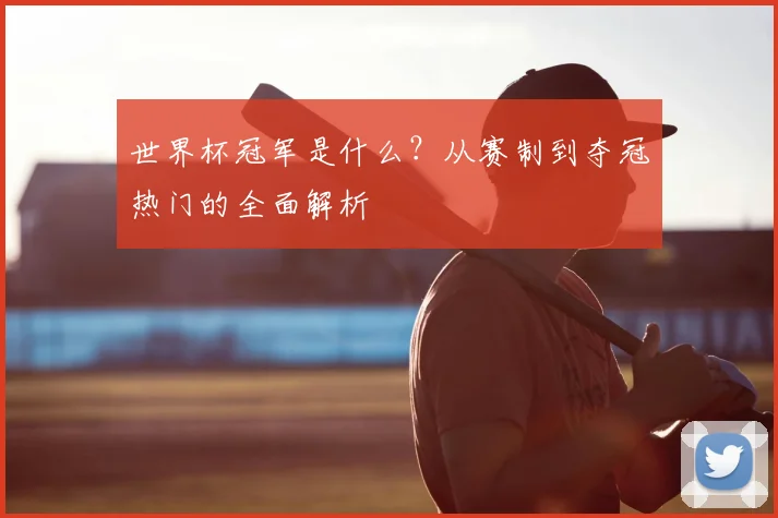 世界杯冠军是什么？从赛制到夺冠热门的全面解析