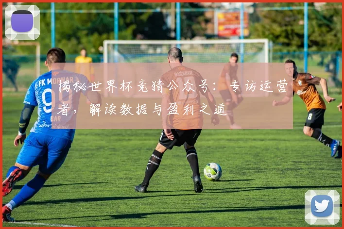 揭秘世界杯竞猜公众号:专访运营者,解读数据与盈利之道