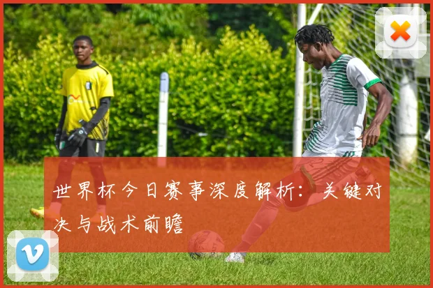 世界杯今日赛事深度解析:关键对决与战术前瞻