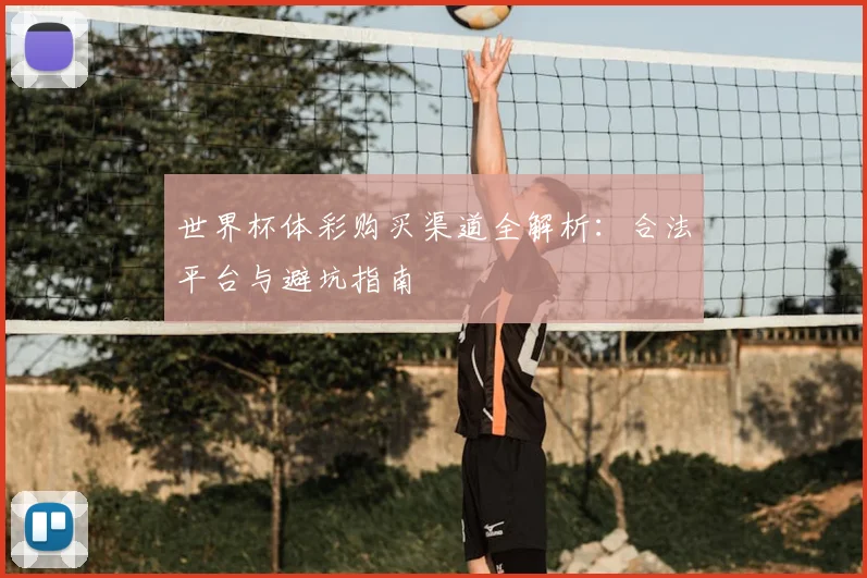 世界杯体彩购买渠道全解析:合法平台与避坑指南