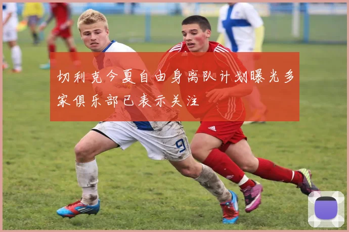 切利克今夏自由身离队计划曝光多家俱乐部已表示关注
