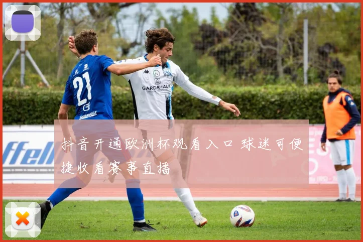 抖音开通欧洲杯观看入口 球迷可便捷收看赛事直播