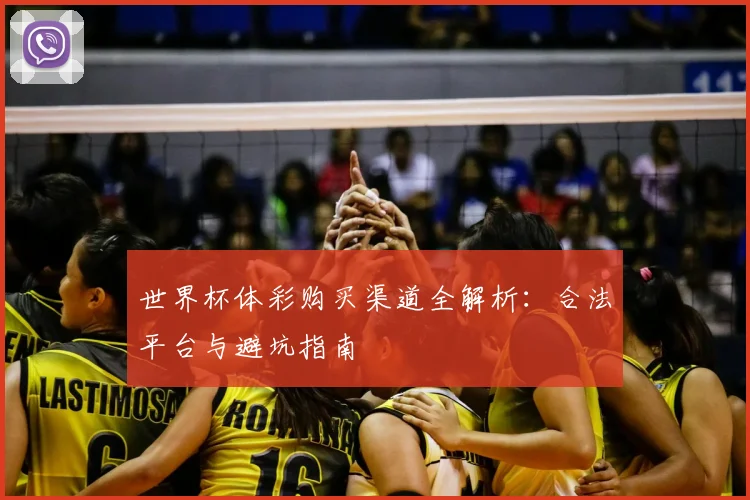 世界杯体彩购买渠道全解析：合法平台与避坑指南
