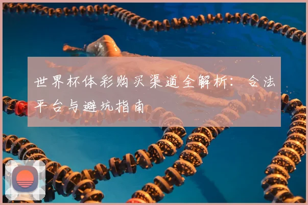 世界杯体彩购买渠道全解析：合法平台与避坑指南